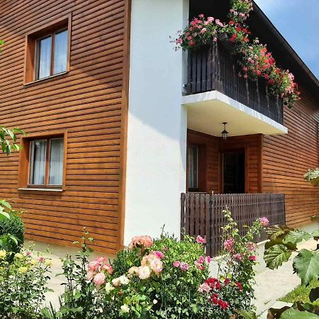 Aleksandar Apartmani Pale Esterno foto
