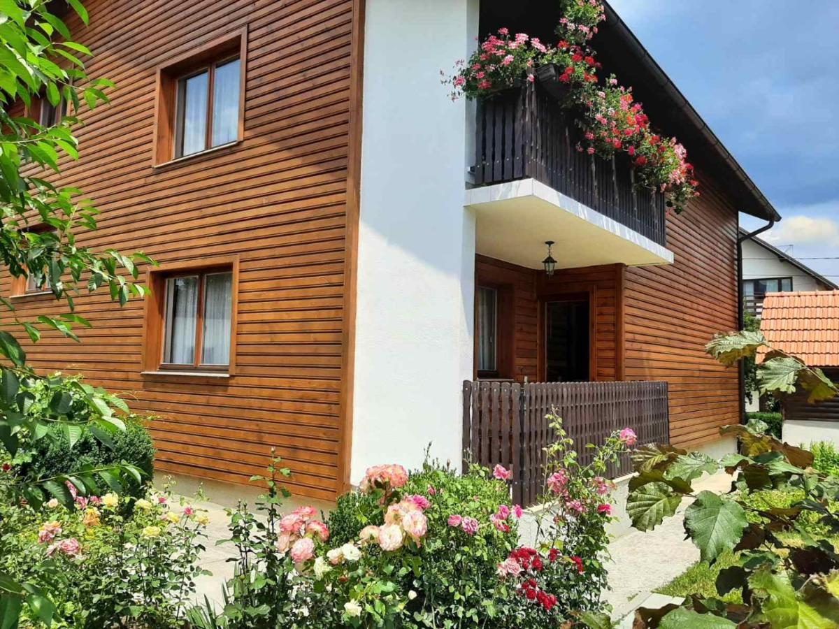 Aleksandar Apartmani Pale Esterno foto